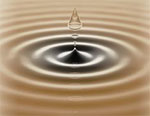 The 5 Waves of Trust